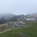 Wieder unten auf der Vorder Höhi.