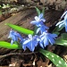 Farbtupfer in blau