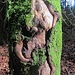 fast schon abstrakt - auch wenns dem Baum gar nicht gut tat
