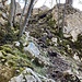 ... und mit blauen Markierungen versehen