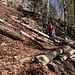 im mit viel Holz verbauten Steilhang hoch ...