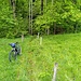 Frischenberg: Hier beginnt der Weg ..