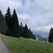 Riglen Blick richtung Westen