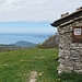 ecco