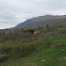 Blick zum Monte Baldo