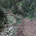 Wasserleitung