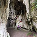 ....e annessa grotta con beata Vergine