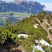 Im Hintergrund die Tannheimer Berge 