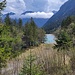 Blick zurück Richtung Plansee auf dem Rückweg zum Parkplatz 