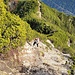 Blick zurück auf den Aufstiegsweg durch die Latschenkieferfelder 