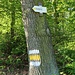 Wanderwegmarkierung