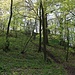 Unmarkierter Bergpfad