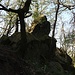 Felsklippe