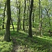 Hrušovák, Gipfelaufbau