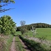 Flurweg mit nächster Kandidatin