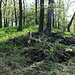 Gipfelaufbau der Valínovka