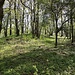 Valínovka/Újezdská hora (Hora Berg), Gipfel