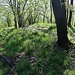 Valínovka, Gipfel, höchster Punkt