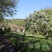 Ortsrand von Záhoří