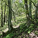Aufstieg zur Strana