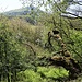 Natur (ohne Ausgang)