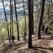 Bald darauf führt der Wanderweg links hinunter zum Dahner Friedhof.