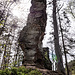 Wir wanderten schließlich auf der Trasse des Dahner Felsenpfads hinüber zum Wachtfelsen.