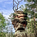 Dabei passiert man zunächst einige kleine Türmchen im Wald.