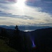 Der Zürichsee glänzt