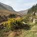 Im Tal des Glen River