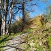 Burg Frauenberg: Zwei Mauerreste .. 