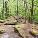 Kammweg zum Klingelkopf 