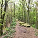 Unterwegs auf dem Kammweg zu den Geiersteinen 