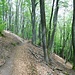 Unterwegs zum Runden Hut
