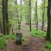 Zwischen Klingelkopf und Friedrichsfels