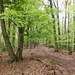 Unterwegs zum Klingelkopf