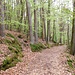 Aufstieg von Lug zu den Hornsteinen