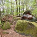 Klingelkopf, höchster Punkt des Höllenbergkamms