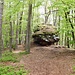 Unterwegs zum "Runden Hut"
