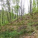 Aufstieg zum Kleinen Ferkelstein