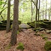 Unterwegs zum Klingelkopf 