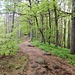 Unterwegs zum "Runden Hut"