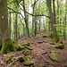 Kammweg zum Klingelkopf 