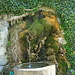 kleiner Brunnen am Wegesrand