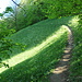 hinauf zum Wanderweg
