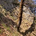 Schlüsselstelle. Beim Baum sieht man das Drahtseil.