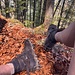 schweres Gerät montiert