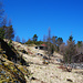 Die aufgelassene Alm Skare