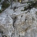 erste richtige Kletterstelle (III)