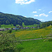 Ramiswil